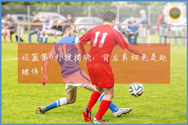辽篮第6外援揭晓，背后真相竟是赵继伟！