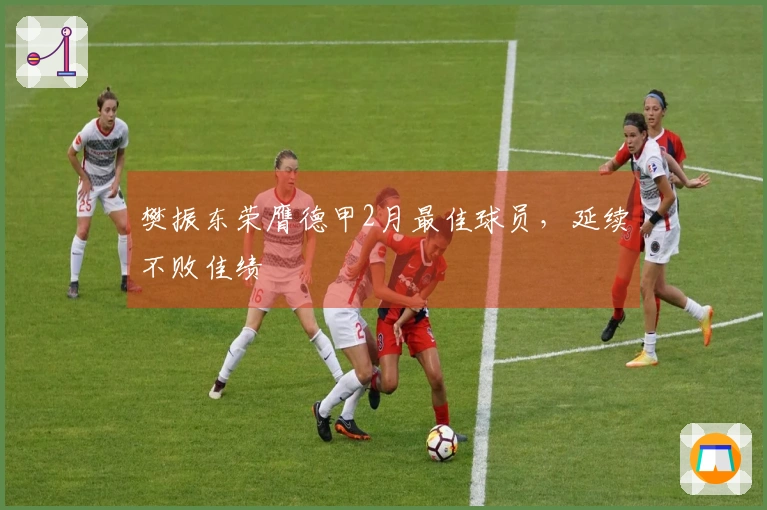 樊振东荣膺德甲2月最佳球员，延续不败佳绩